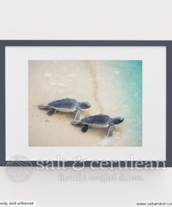 Grand Adventure Sea Turtle Art Print