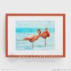 Flamingos Art Print