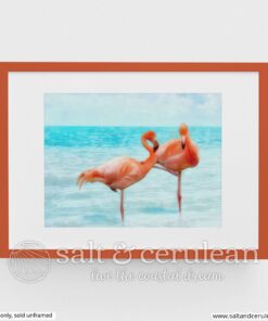 Flamingos Art Print