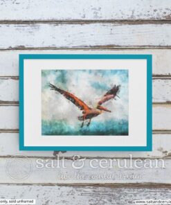 Flying Pelican Art Print