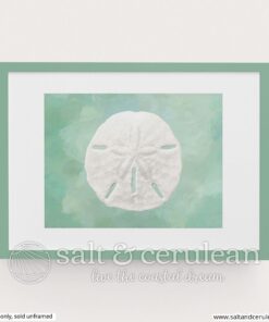 Sand Dollar on Green