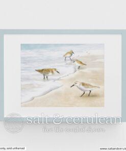 Sanderlings watercolor print from Salt & Cerulean