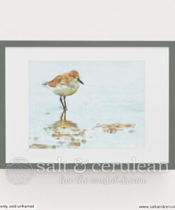 Sandpiper Art Print
