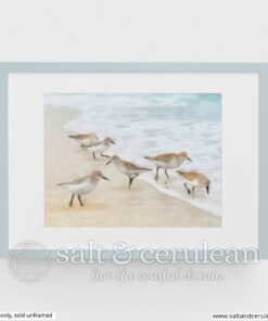 Sandpiper Tribe Art Print