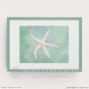 Starfish on Green Art Print