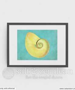 Tropical Shell Two Art Print