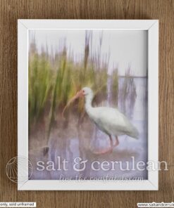 Ibis Marsh Art Print