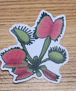 Venus Flytrap Vinyl Sticker